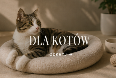 DLA KOTA